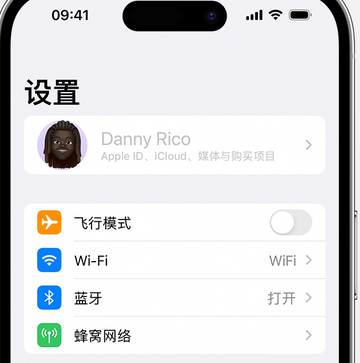 阿巴嘎appleID维修服务iPhone设置中Apple ID显示为灰色无法使用 