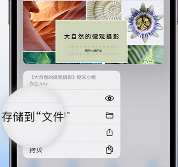 阿巴嘎apple维修中心分享iPhone文件应用中存储和找到下载文件