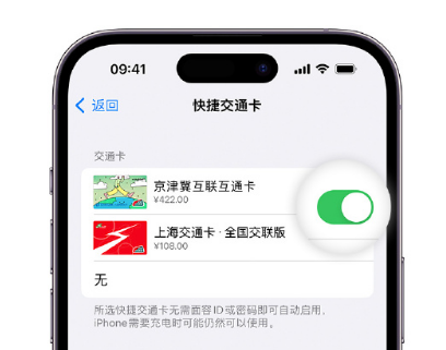 阿巴嘎apple维修点分享iPhone上更换Apple Pay快捷交通卡手绘卡面 