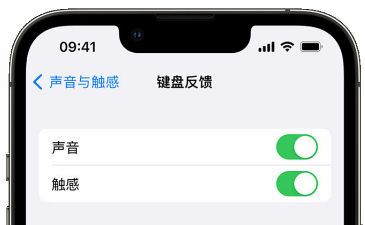 阿巴嘎苹果手机维修分享iPhone 14触感键盘使用方法 