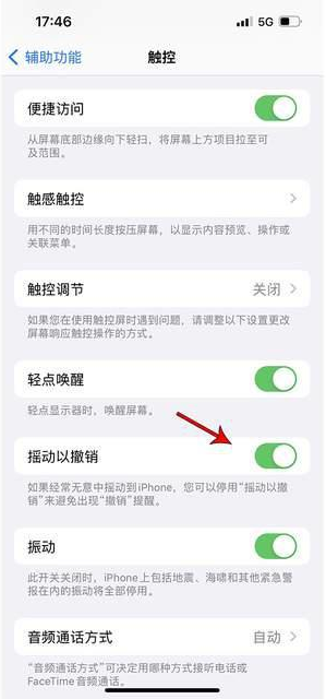 阿巴嘎苹果手机维修分享iPhone手机如何设置摇一摇删除文字 