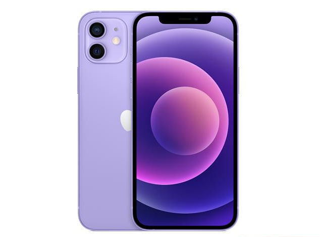 阿巴嘎苹果手机维修分享现阶段要不要入手紫色版iPhone12 