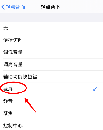 阿巴嘎苹果手机维修分享iPhone12如何启用双击截屏 